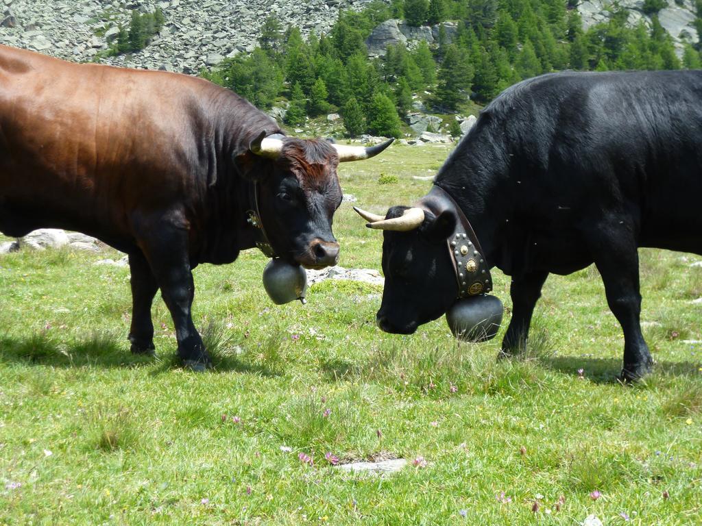 Garni Jaegerhof Saas-Fee
