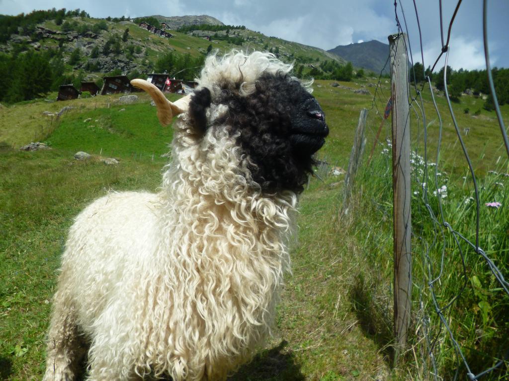 Garni Jaegerhof